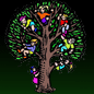 Wonderboom